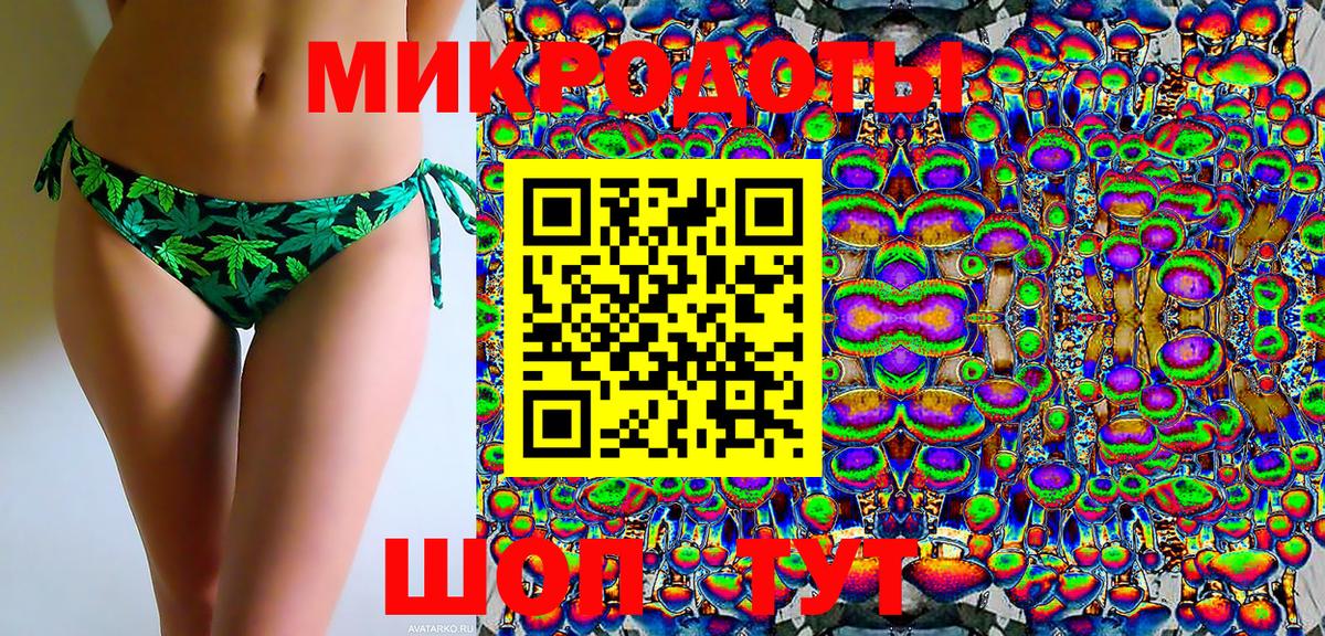 Псилоцибиновые грибы Psilocybine cubensis Химки