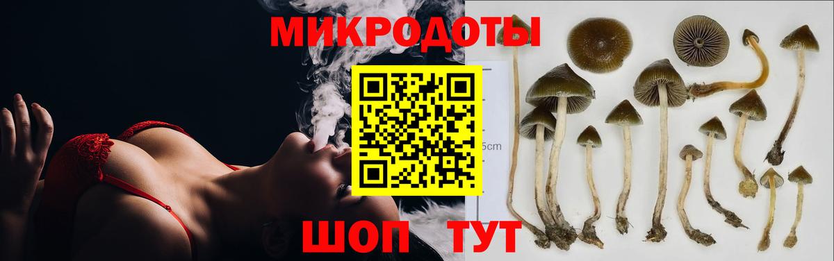 Галлюциногенные грибы Magic Shrooms  Галлюциногенные грибы Psilocybe  Вход с VPN  Химки 